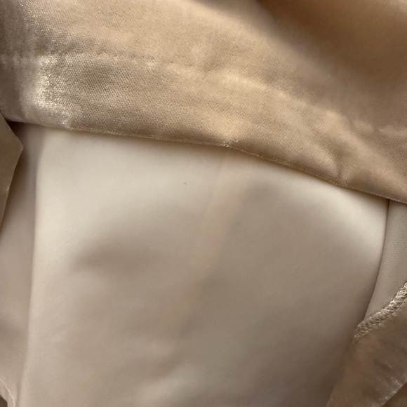 J. Crew Women's Blush Velvet Short Sleeve Top - Picture 5 of 5